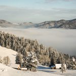 Zimowy trekking w Pieninach